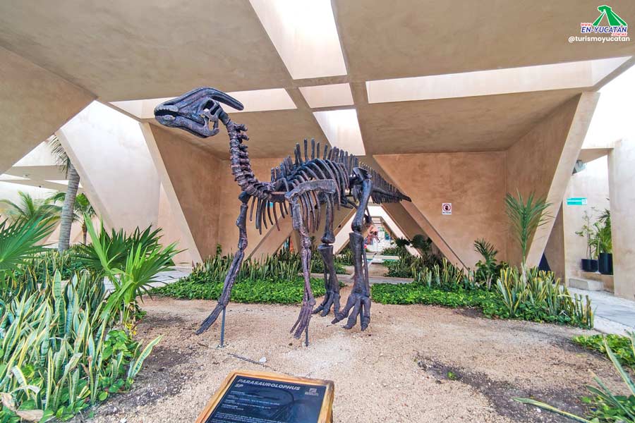 Meteorite Museum in Progreso Yucatán