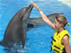 nado con delfines cancun riviera maya