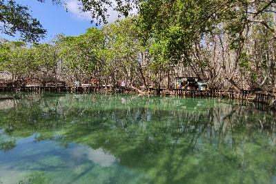 Cenote Pájaros