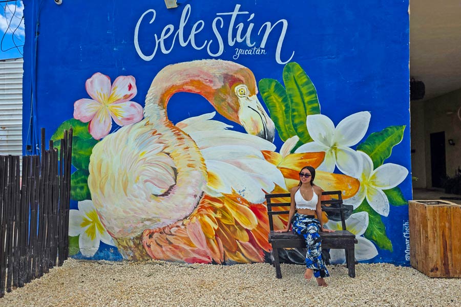 Celestun Beach near Hotel Las Conchitas