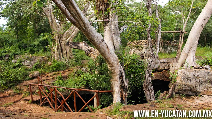 Cenote Kankirische - Mukuyche, Abalá Yucatán