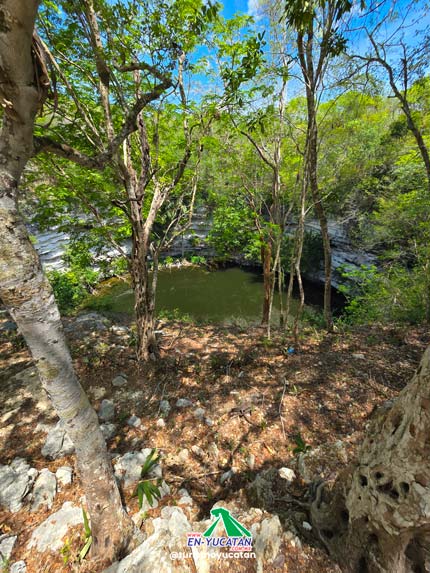 Cenote Sagrado en Chichén Itzá