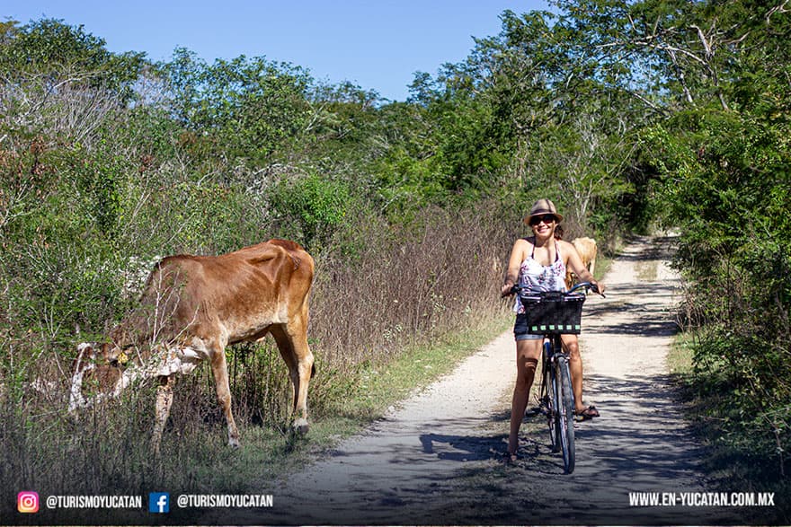 Tour en Bicicleta en Homun, Cenote Mani Chan en Homun