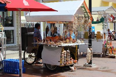 Vendedor de Artesanias en San Miguel