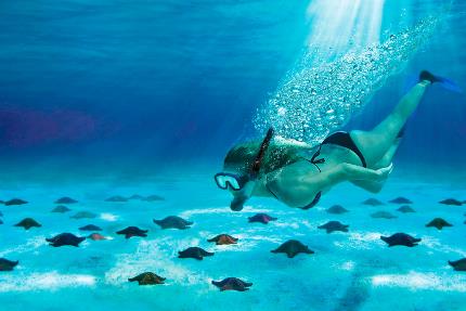 Tour al Cielo Cozumel