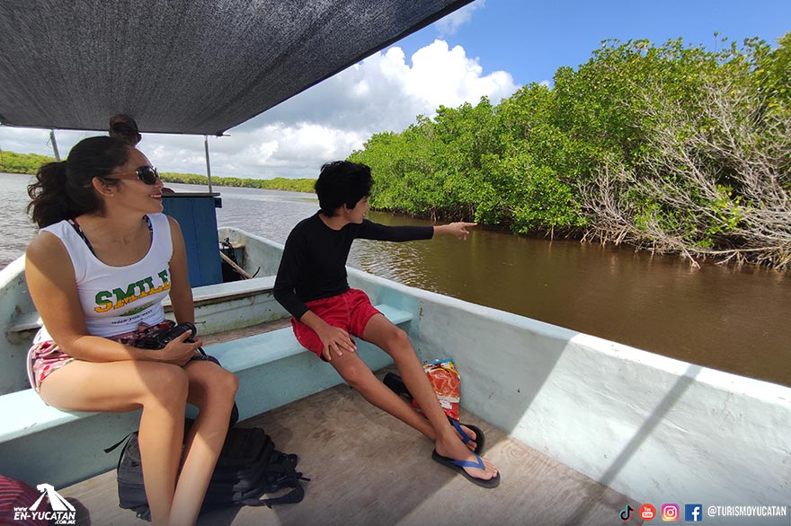 ecoturismo dzilam bravo, cenotes, tours yucatan