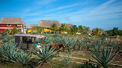 Hacienda Sotuta de Peón, Haciendas en Yucatán