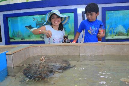 Tortugranja en Isla Mujeres