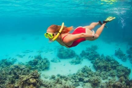 Tour de Snorkel en Isla Mujeres