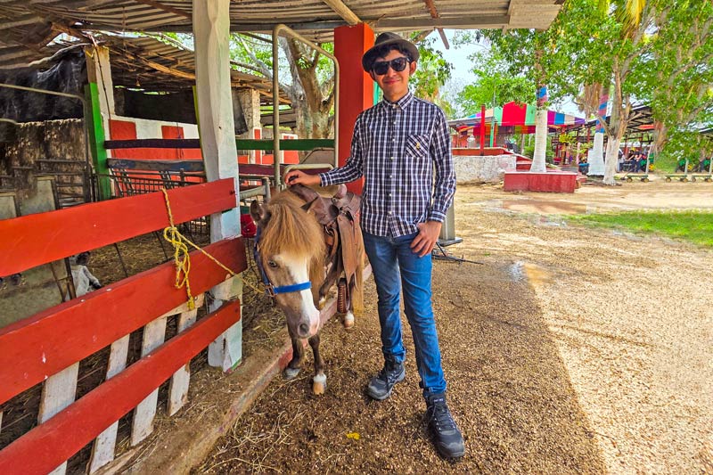 Pony en Granja Interactiva, Ponylandia