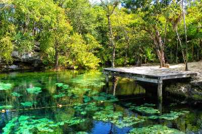 7 Cenotes de la Riviera Maya