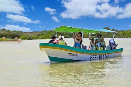 Celestun Boat Trip, Pez Plata