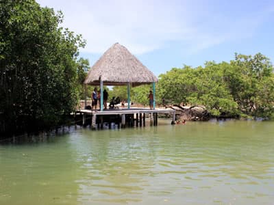 Cenote Chiquila, Cenote Chiquila Rio Lagartos, Tours en Rio Lagartos, Ecoturismo en Yucatan
