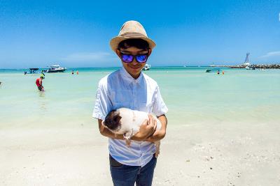 Pig Beach, Yucatan