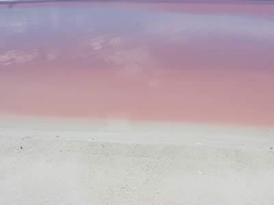Las Coloradas, Playas Yucatecas
