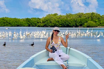Flamingos, Crocodiles, and Birdwatching with William Canto