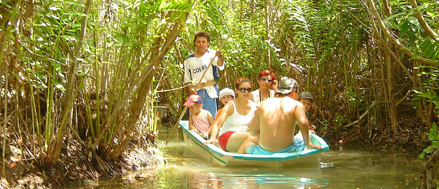 manglares de san crisanto, ecoturismo yucatan