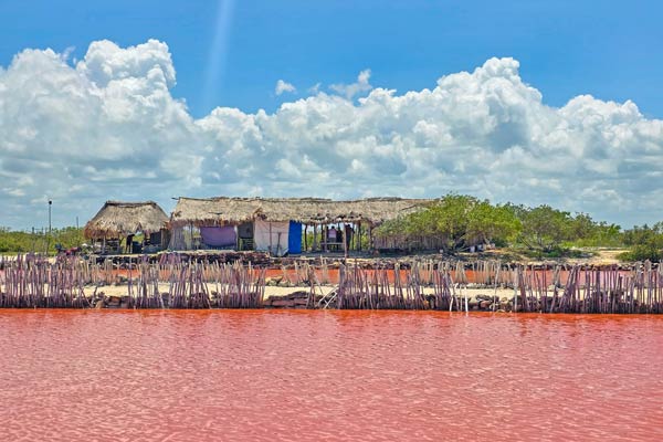 Charcas Rosas en Salinera Xtampú