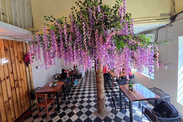 Rustika Restaurante & Cafetería, Tekax Pueblo Mágico