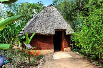 Ecomuseo del Cacao, Plantación Tikul