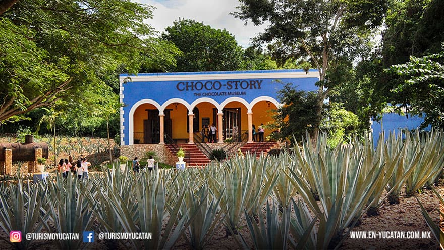 Ecomuseo del Cacao