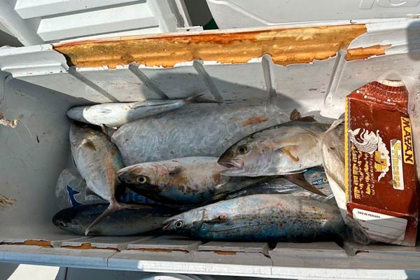 Tour Privado de Pesca en Yate en Progreso
