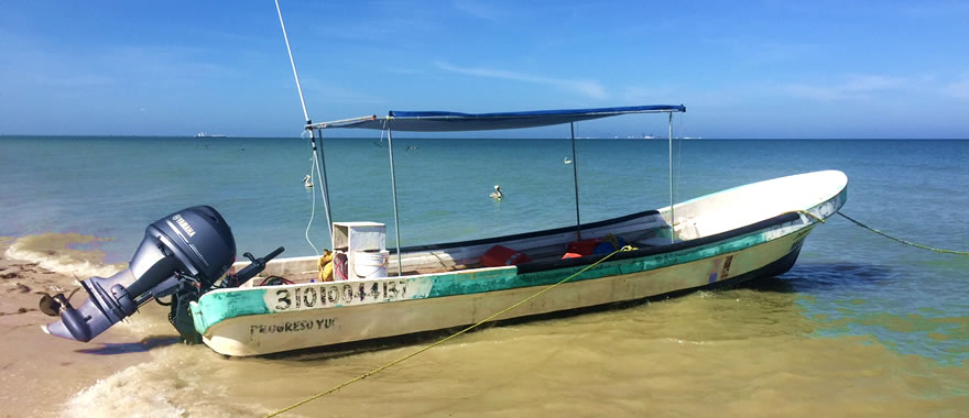 Lancha de 26 Pies, Tour de pesca económico por las Costas Yucatecas, Pesca económica Yucatán
