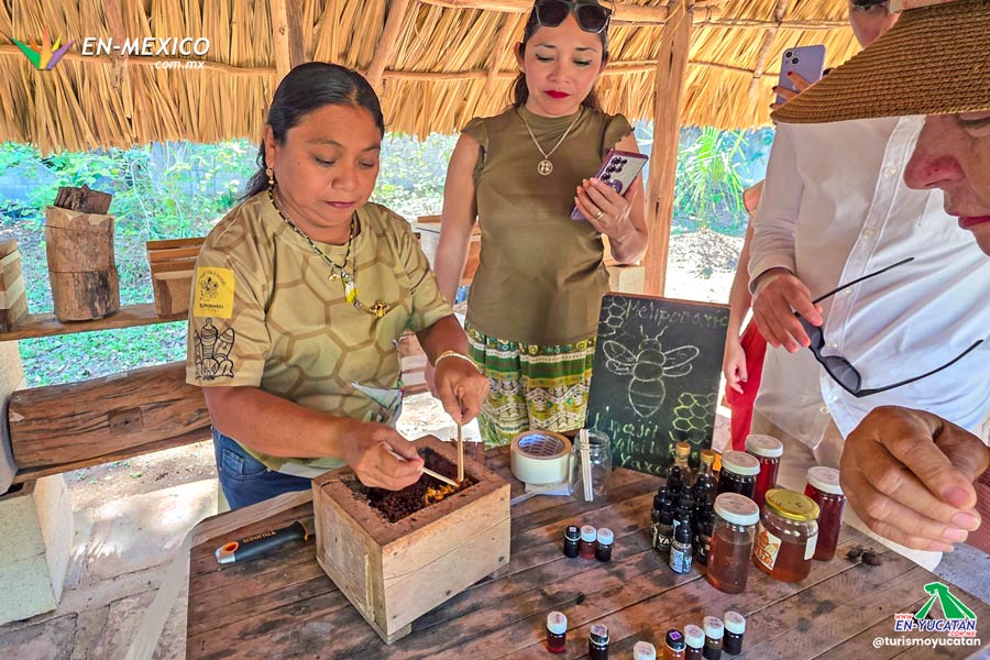 Meliponario de Yaxcabá