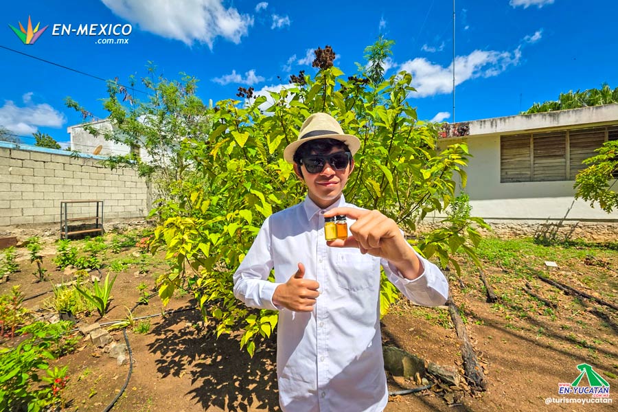 Meliponario de Yaxcabá