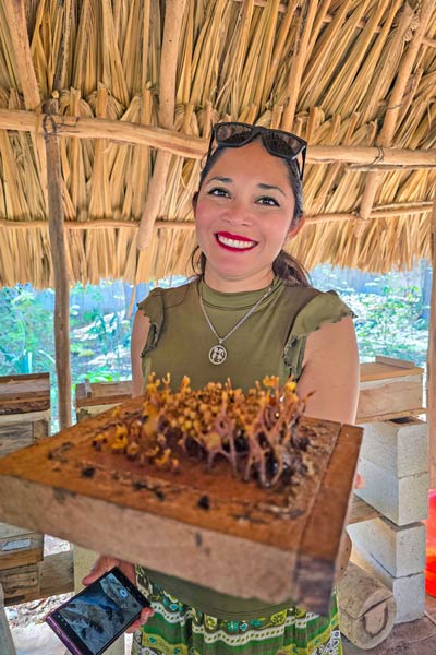 Meliponario de Yaxcabá