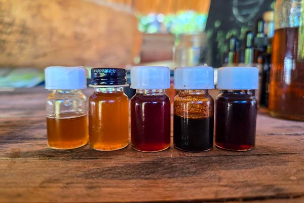 Meliponario de Yaxcabá