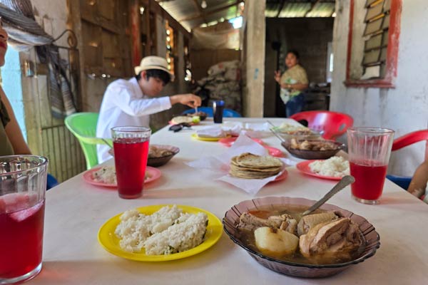 Meliponario de Yaxcabá