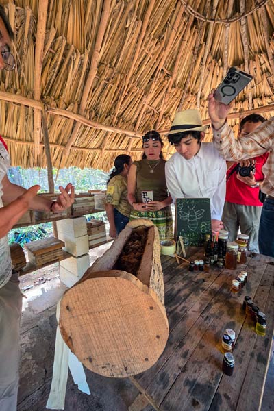 Meliponario de Yaxcabá