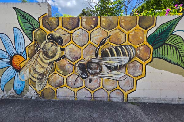 	Meliponario de Yaxcabá