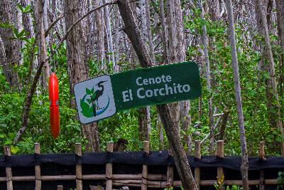 Cenote El Corchito