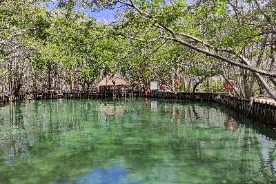 Cenote Pájaros, El Corchito